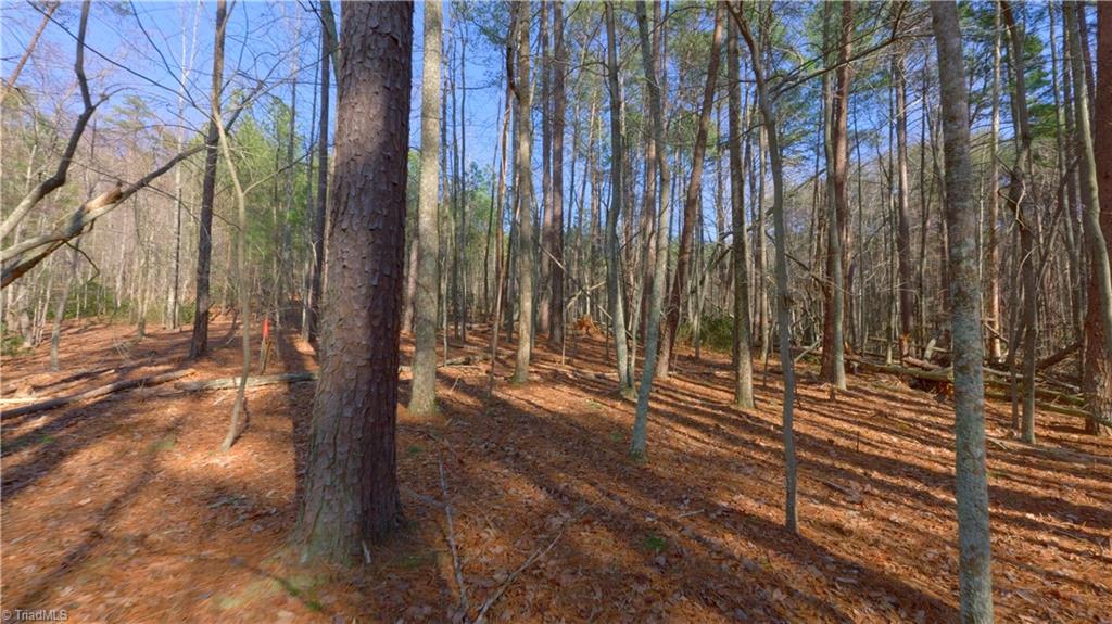 00 Wolf Rock Road, Walnut Cove, North Carolina image 37