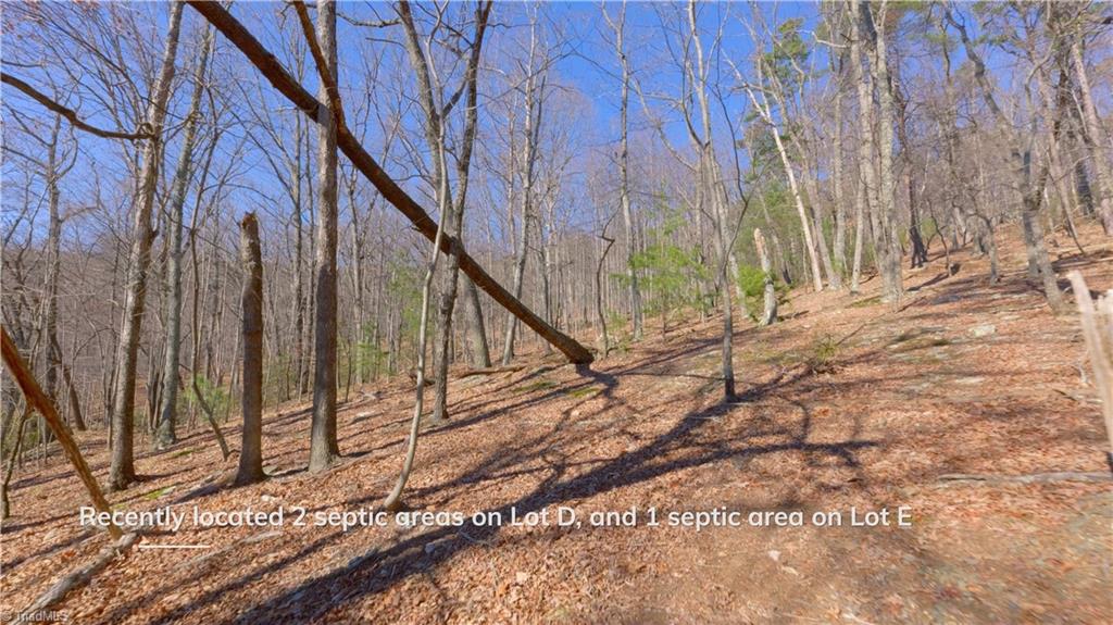 00 Wolf Rock Road, Walnut Cove, North Carolina image 32