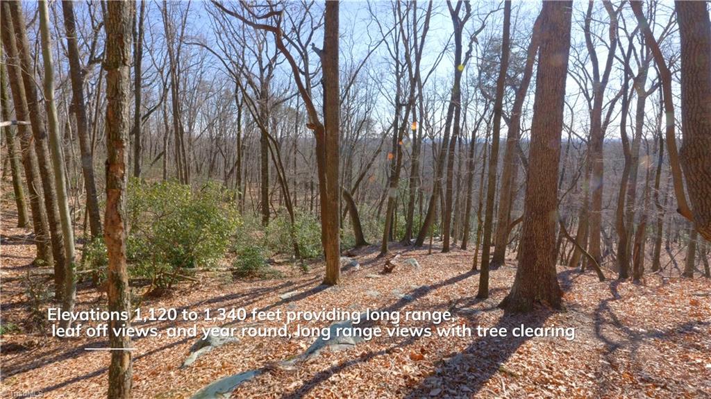 00 Wolf Rock Road, Walnut Cove, North Carolina image 24