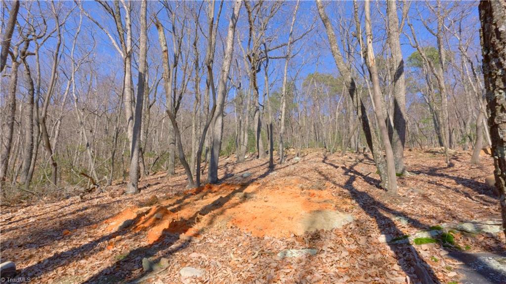 00 Wolf Rock Road, Walnut Cove, North Carolina image 30