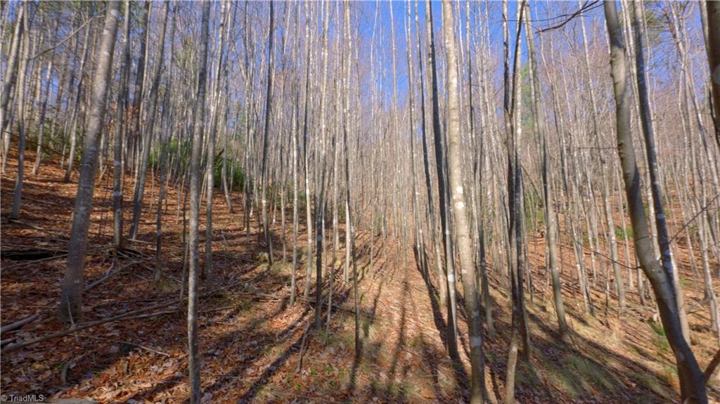 00 Wolf Rock Road, Walnut Cove, North Carolina image 29