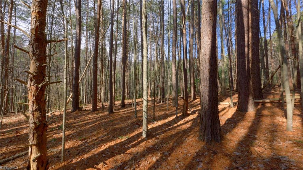 00 Wolf Rock Road, Walnut Cove, North Carolina image 36
