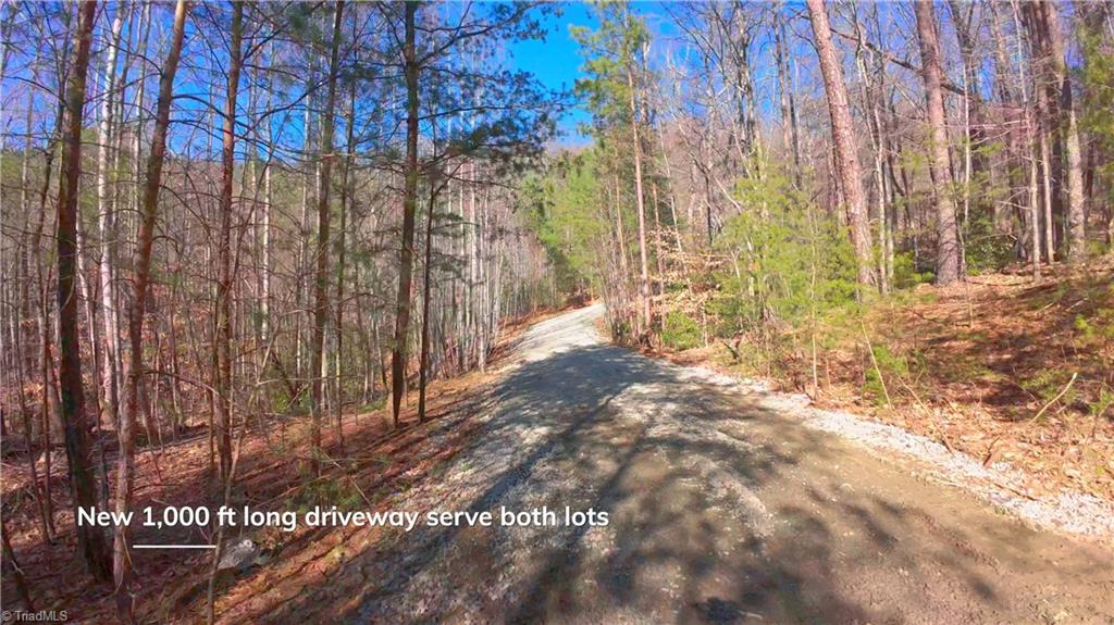 00 Wolf Rock Road, Walnut Cove, North Carolina image 11