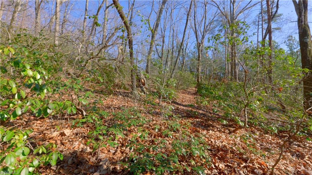 00 Wolf Rock Road, Walnut Cove, North Carolina image 35