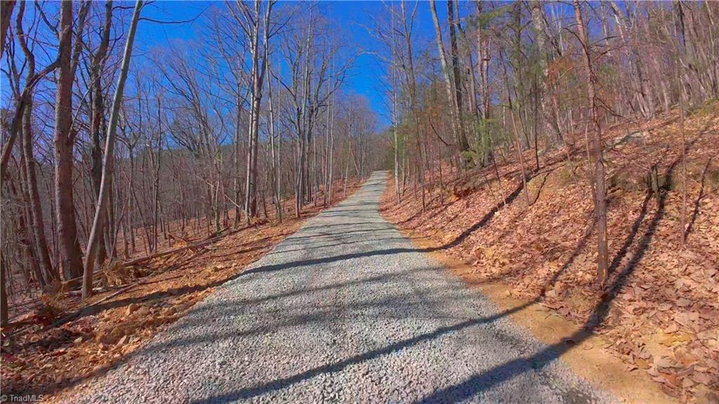 00 Wolf Rock Road, Walnut Cove, North Carolina image 12
