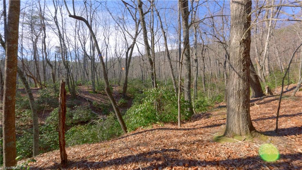 00 Wolf Rock Road, Walnut Cove, North Carolina image 4