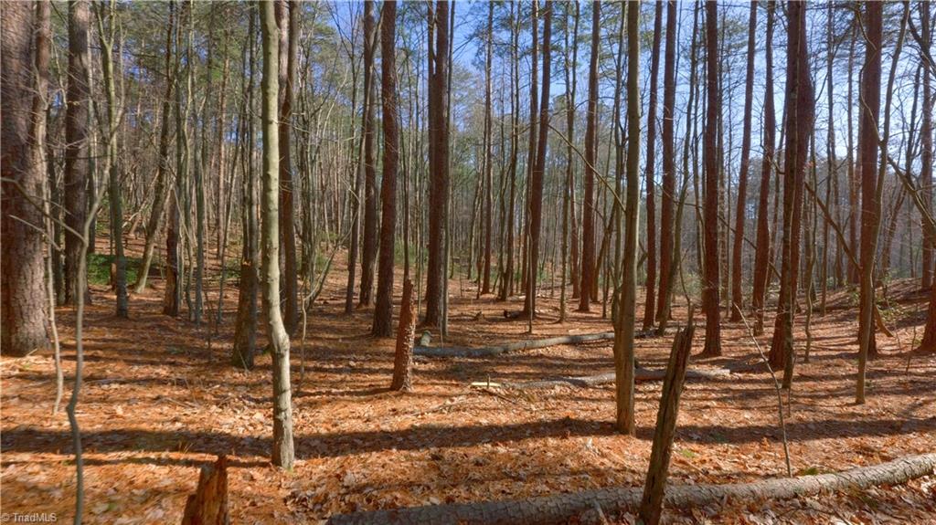 00 Wolf Rock Road, Walnut Cove, North Carolina image 38