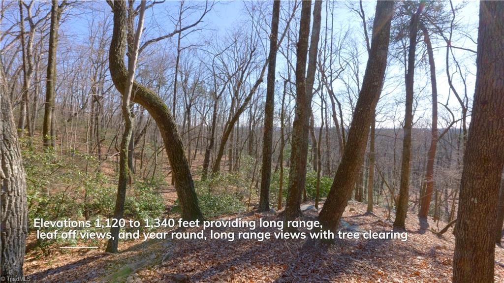 00 Wolf Rock Road, Walnut Cove, North Carolina image 25