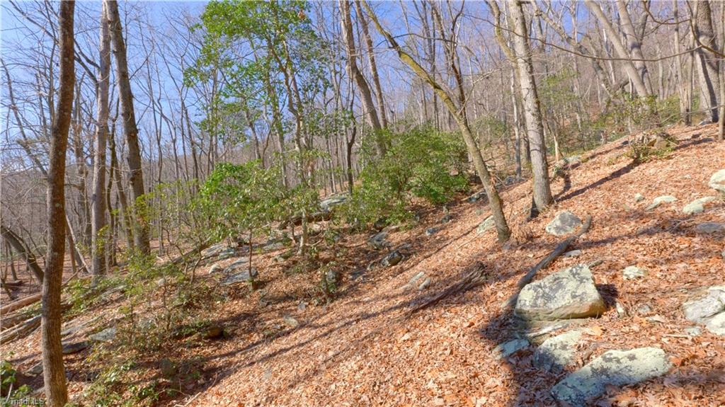 00 Wolf Rock Road, Walnut Cove, North Carolina image 27
