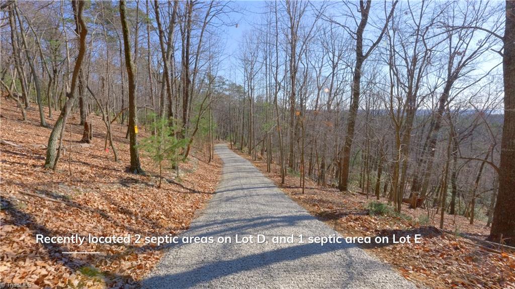 00 Wolf Rock Road, Walnut Cove, North Carolina image 19