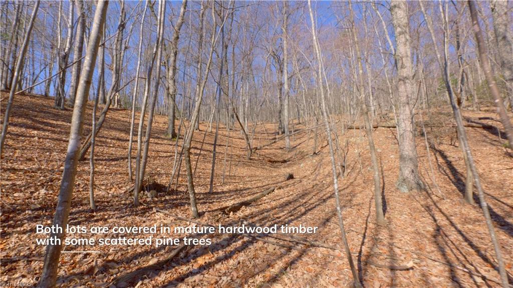 00 Wolf Rock Road, Walnut Cove, North Carolina image 34