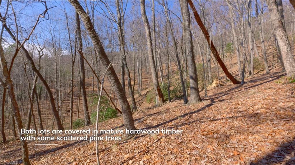00 Wolf Rock Road, Walnut Cove, North Carolina image 33