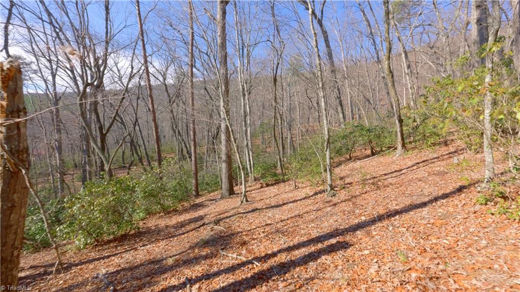 00 Wolf Rock Road, Walnut Cove, North Carolina image 5