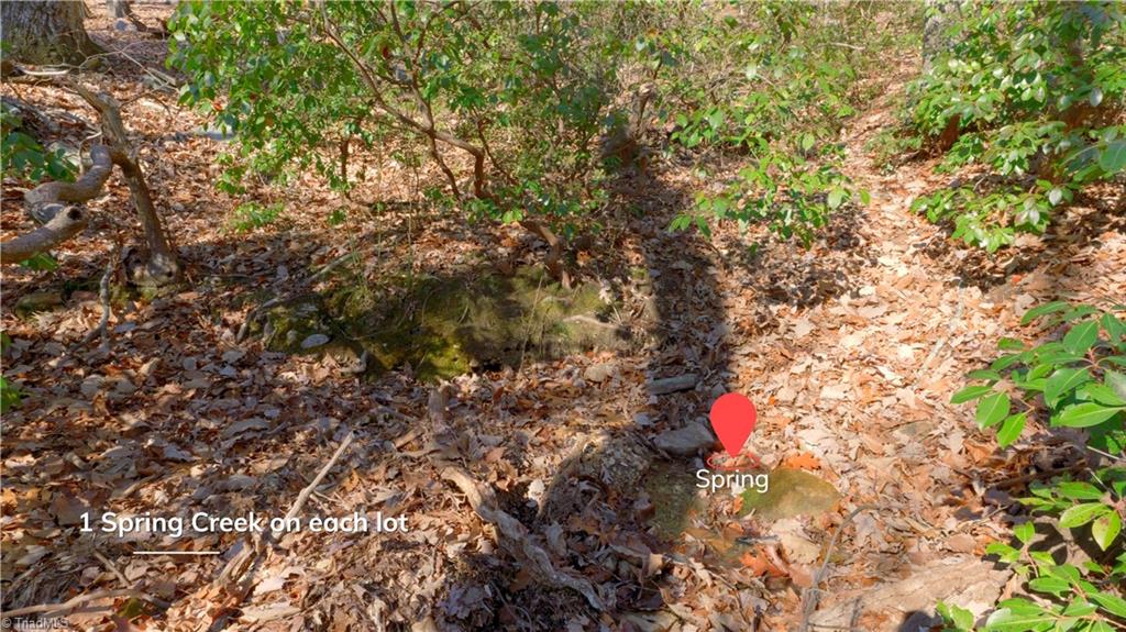 00 Wolf Rock Road, Walnut Cove, North Carolina image 26