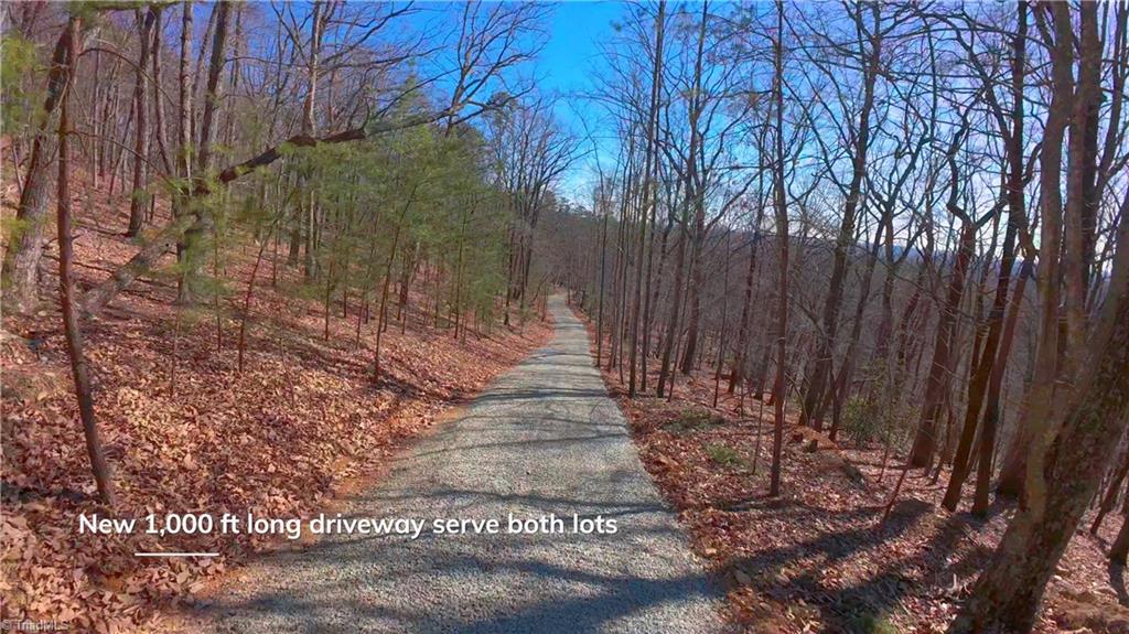 00 Wolf Rock Road, Walnut Cove, North Carolina image 13