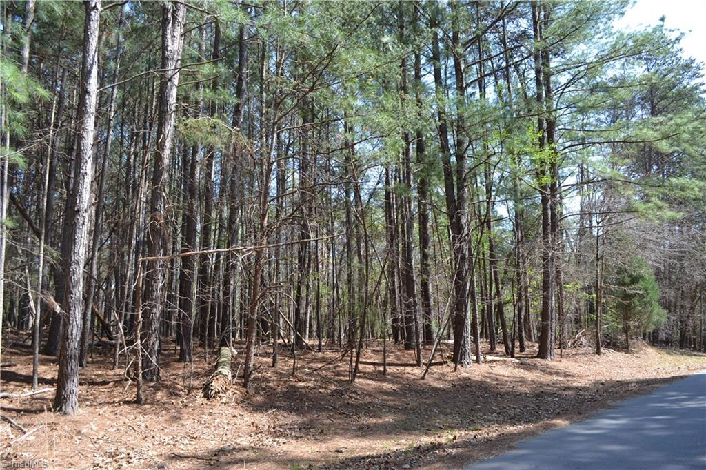 3.6 Acres Fairway Drive