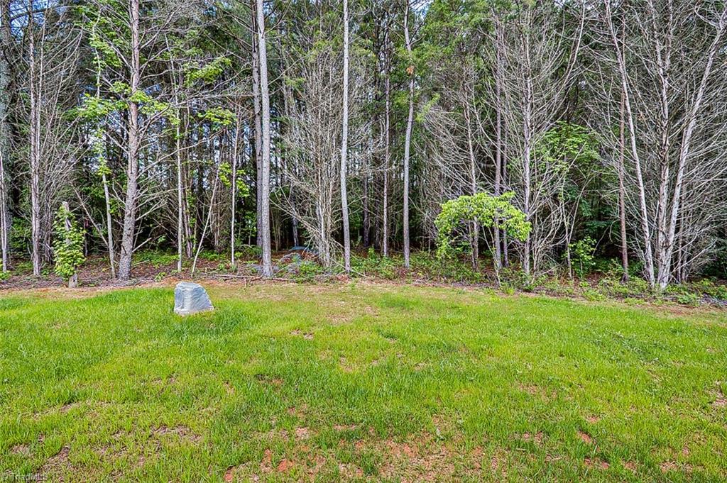 296 Lick Creek Church Road, Denton, North Carolina image 29