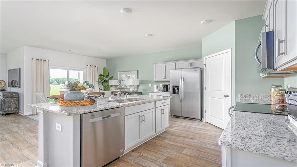 216 Indigo Bunting Court, Lexington, North Carolina image 3