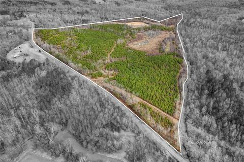 Vacant Land For Sale - Lick Fork Creek Road<br/> Rockingham County, Reidsville, NC 27320