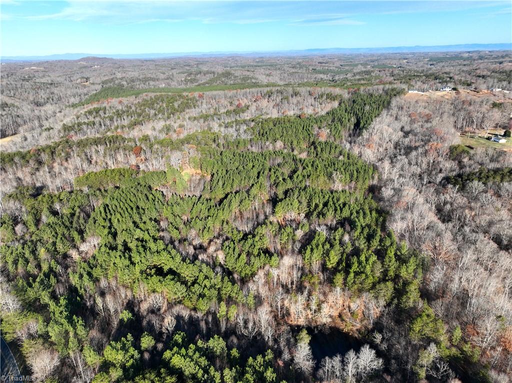 Lot 3- O Bowen Road, Pinnacle, North Carolina image 7