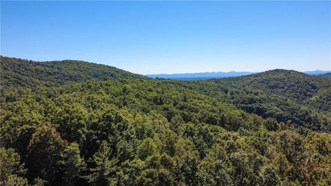 Vacant Land For Sale - 00 Sutters Ridge Road<br/> Wilkes County, McGrady, NC 28649