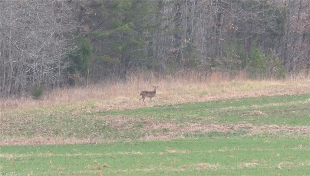 00 Blanchard Road, Burlington, North Carolina image 2