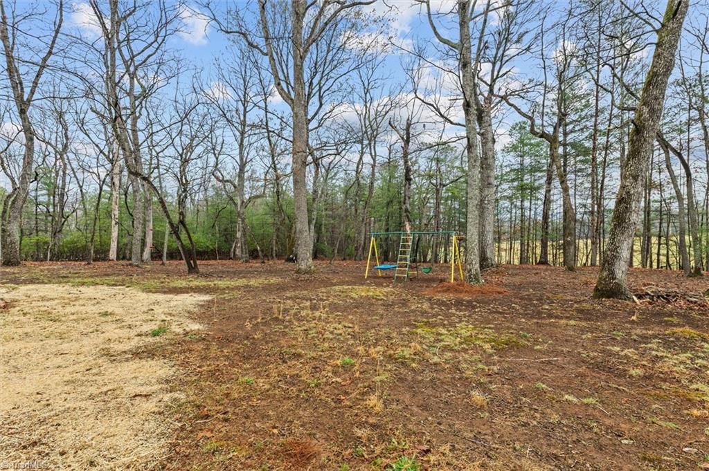 407 Baldwin Drive, Lowgap, North Carolina image 34