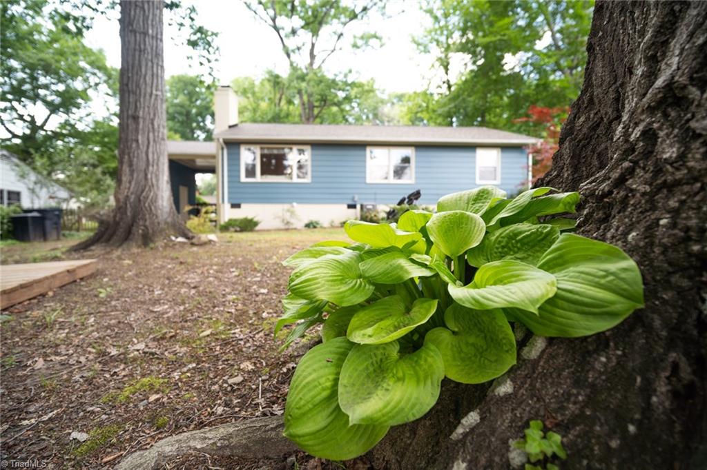 3709 Parkwood Drive, Greensboro, North Carolina image 32