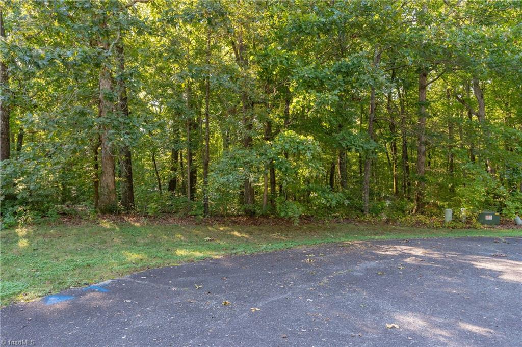 172 Doverstone Court