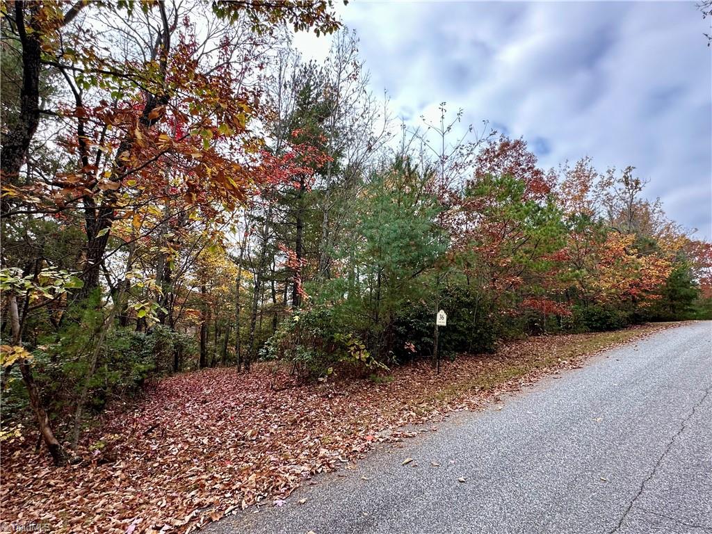 Lot 36E Cascade Run, Purlear, North Carolina image 30