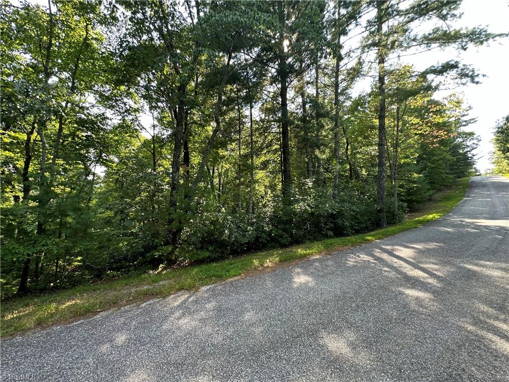 Lot 36E Cascade Run, Purlear, North Carolina image 2