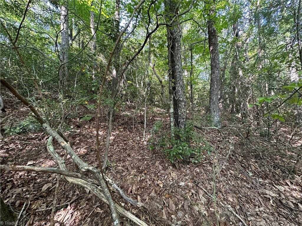 Lot 36E Cascade Run, Purlear, North Carolina image 11