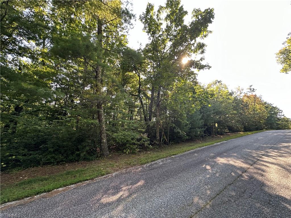 Lot 36E Cascade Run, Purlear, North Carolina image 3