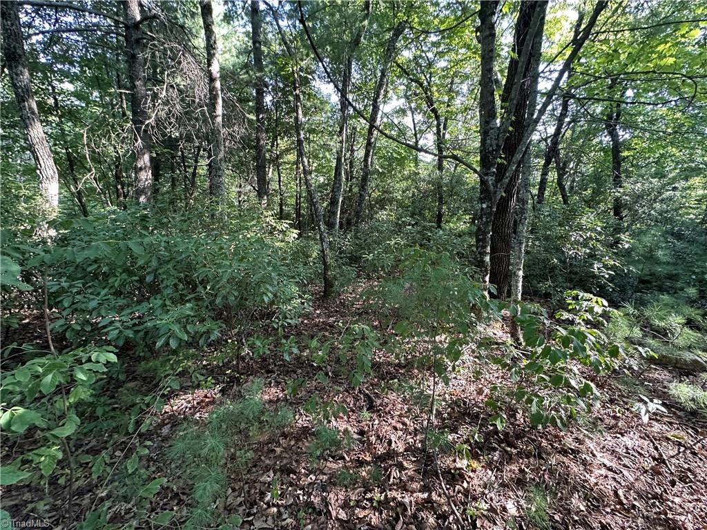 Lot 36E Cascade Run, Purlear, North Carolina image 12