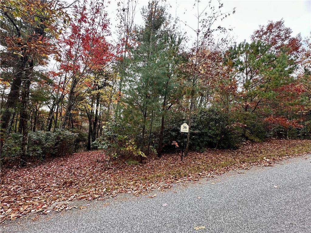 Lot 36E Cascade Run, Purlear, North Carolina image 31