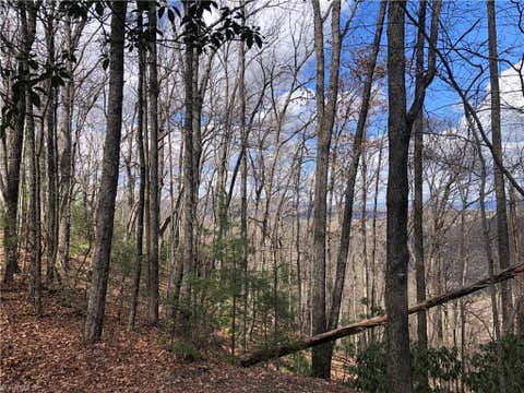Vacant Land For Sale - LOT 21 Bobcat Mountain Road<br/> Purlear, NC 28665