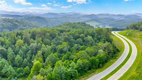 Vacant Land For Sale - TBD Us Highway 221<br/> Fleetwood, NC 28626