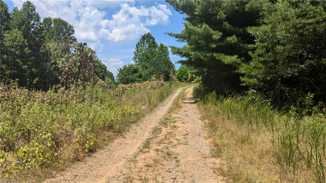 1501 Buckwheat Road, photo 5 of 50