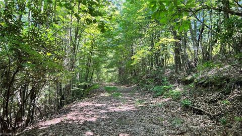 TBD2 Barlowe Place Lenoir NC 28645