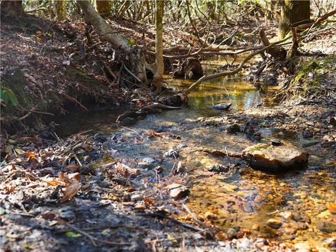 Photo of TBD Flagstone Way, Lowgap, NC 27024 (MLS # 1214127)