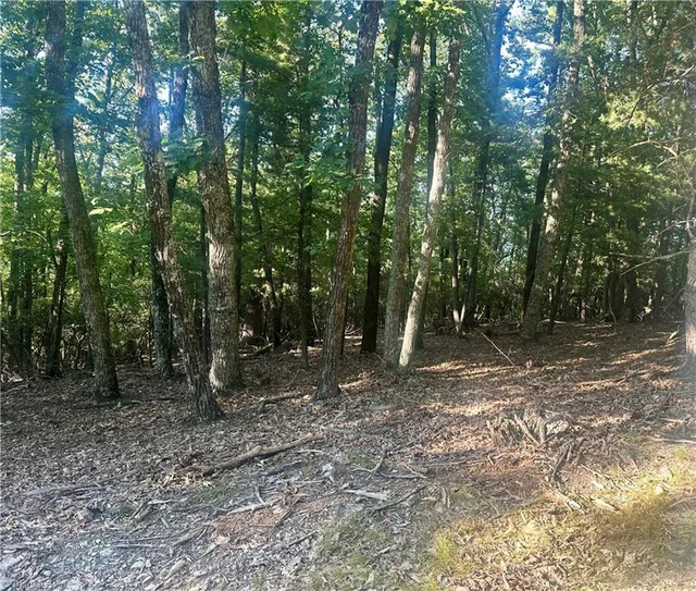 Lot 63 Grandview Circle, photo 2 of 7
