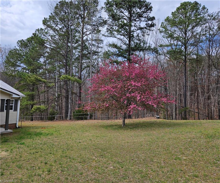 9610 Nc Highway 87, Reidsville, North Carolina image 46