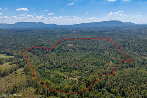 Vacant Land For Sale - Wright Road<br/> Stokes County, Westfield, NC 27053