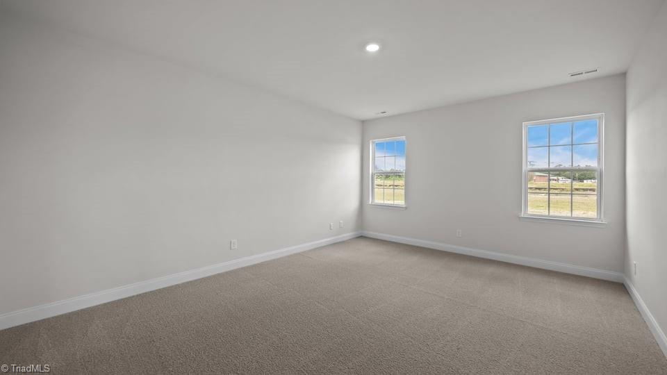 3832 Colt Court, Trinity, North Carolina image 12