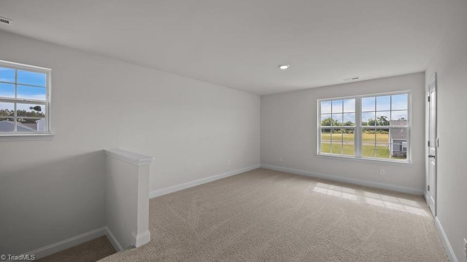 3832 Colt Court, Trinity, North Carolina image 16