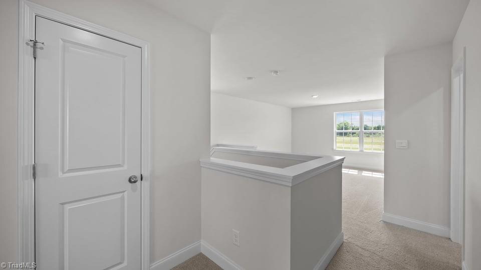 3832 Colt Court, Trinity, North Carolina image 24