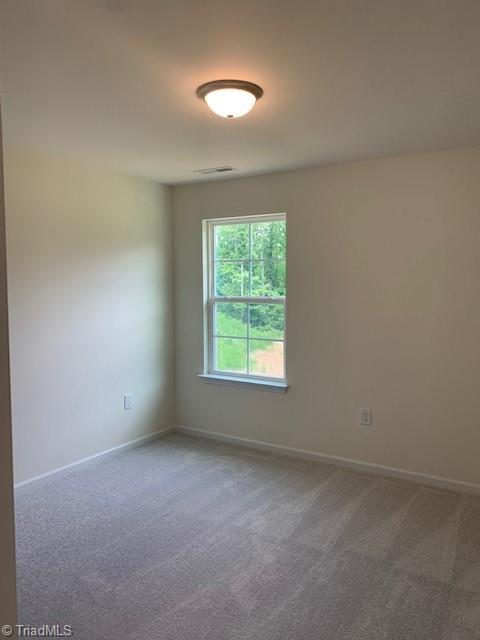 1918 Penley Trail #55, Greensboro, North Carolina image 18