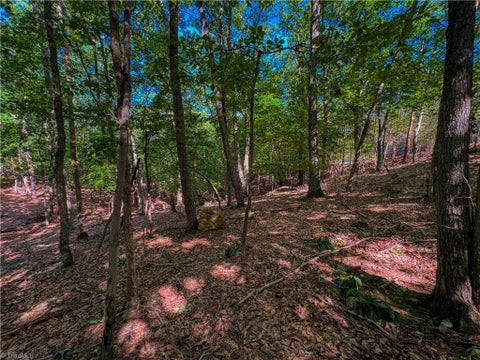 Vacant Land For Sale - 784 Palisade Trail<br/> Denton, NC 27239