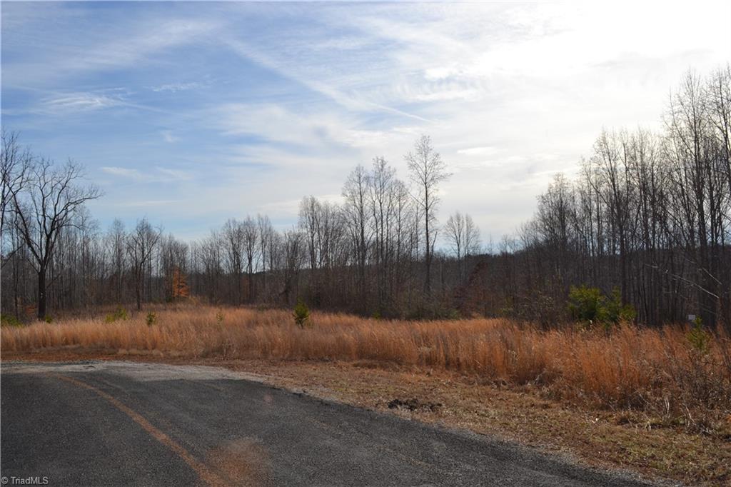 80 Acres Bobby Nelson Road, Sandy Ridge, North Carolina image 3