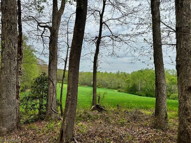 Local Road, Mayodan, North Carolina image 18